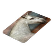 ドリンゴグレイアンダルシアンホースポートレート マグネット (左側)