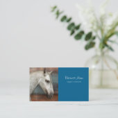 ドリンゴグレイアンダルシアンホースポートレート 名刺 (スタンド正面)