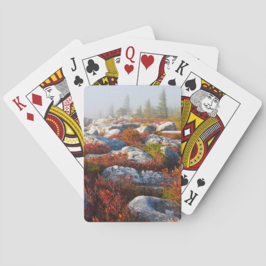 ドリーソッズワイルドネス秋シーニックウィズフォグ トランプ (裏面)