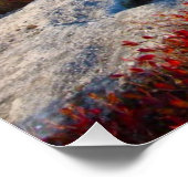 ドリーソdsウィルダネス秋名勝と霧 ポスター (コーナー)