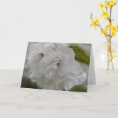 ドリーミーさくらんぼの花AH2010 カード (黄色い花)