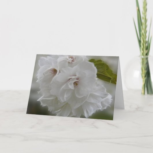 ドリーミーさくらんぼの花AH2010 カード (正面)