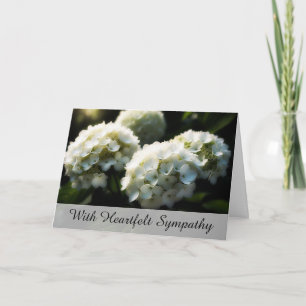 *~*ドリーミーアジャTV2悔やみや弔慰ラブライト カード