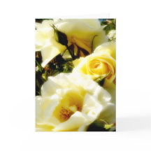 ドリーミーイエローローローズAH2010