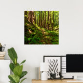 ドリーミーカリフォルニアレッドウッズ ポスター (ホームオフィス)