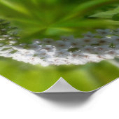 ドリーミーカーリングホワイトワイルドフラワー抽象芸術 ポスター (角)