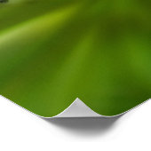 ドリーミーカーリングホワイトワイルドフラワー鏡抽象芸術 ポスター (角)