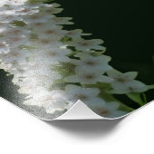 ドリーミーカーリングホワイトワイルドフラワー8x10 フォトプリント            (角)