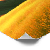 ドリーミーゴールデンヒルズポスター ポスター (角)