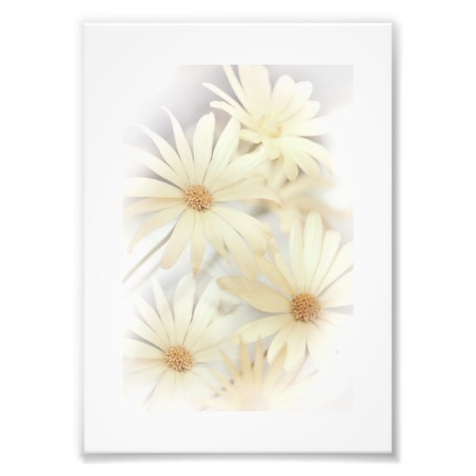 ドリーミーデイジー2 フォトプリント            (正面)