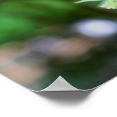 ドリーミーバタフライオンフラワー自然 ポスター (角)