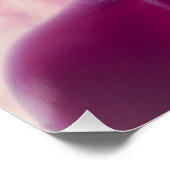 ドリーミーピンク ポスター (コーナー)