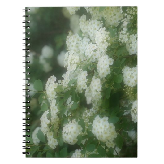 ドリーミーワイルドホワイトローズフラワー自然ノート ノートブック (正面)