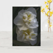 ドリーミー水仙 カード (黄色い花)