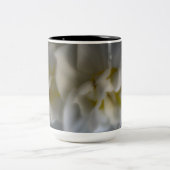 ドリーミー水仙 ツートーンマグカップ (中央)