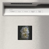 ドリーミー水仙 マグネット (インサイチュ (食洗機))