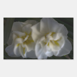 ドリーミー水仙 長方形シール