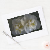 ドリーミー水仙 長方形シール (封筒)