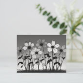 ドリーミー白黒フローラシャドウ ポストカード (スタンド正面)