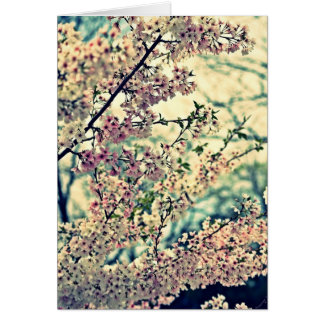 ドリーミー空白の爆発（内部）