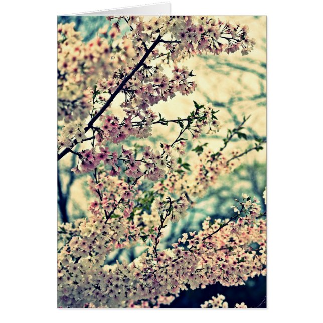 ドリーミー空白の爆発（内部） (正面)