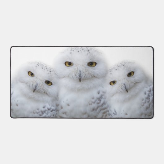 ドリーミー雪のフクロウおもしろいズ一家が蹄を持つ デスクマット (正面)