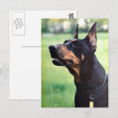 ドリーミー（犬）ドーベルマン・ピンシェル絵画顔 ポストカード (正面/裏面)