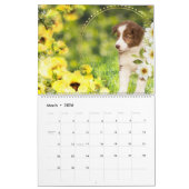 ドリームアート動物カレンダー カレンダー (3月 2026)