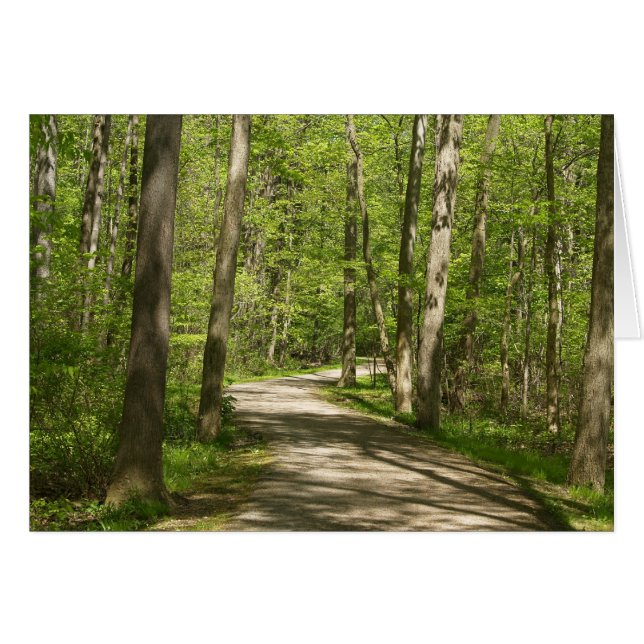 ドリームカ後を追ード (正面横)