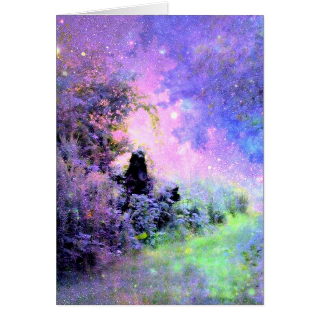 ドリームガーデンライト (正面)