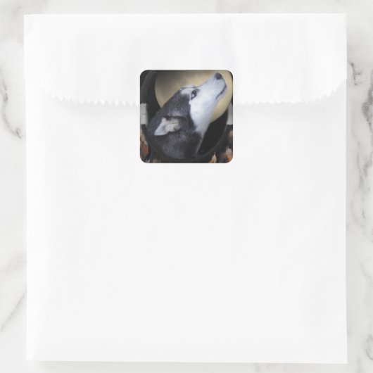 ドリームキャッチャーとブルーアイドハスキー スクエアシール (バッグ)