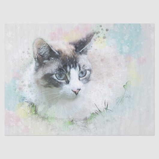 ドリームキャットティッシュペーパー 薄葉紙 (正面)