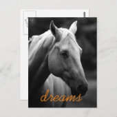 ドリームスやる気を起こさせるブラック&ホワイトホースヘッド ポストカード (正面/裏面)