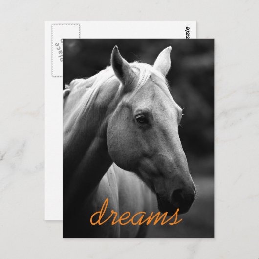 ドリームスやる気を起こさせるブラック&ホワイトホースヘッド ポストカード (正面/裏面)