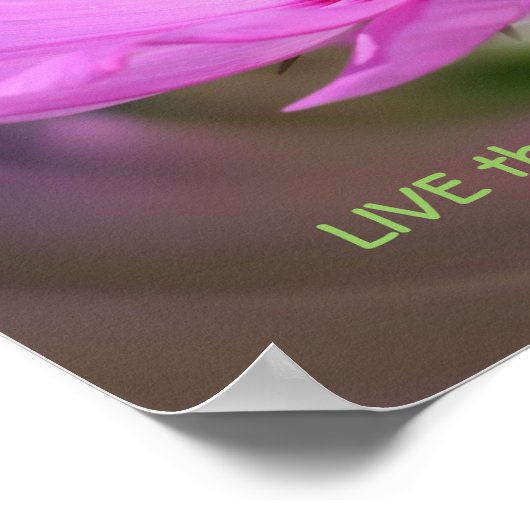 ドリームス引用文コスモス感動的フラワー ポスター (角)