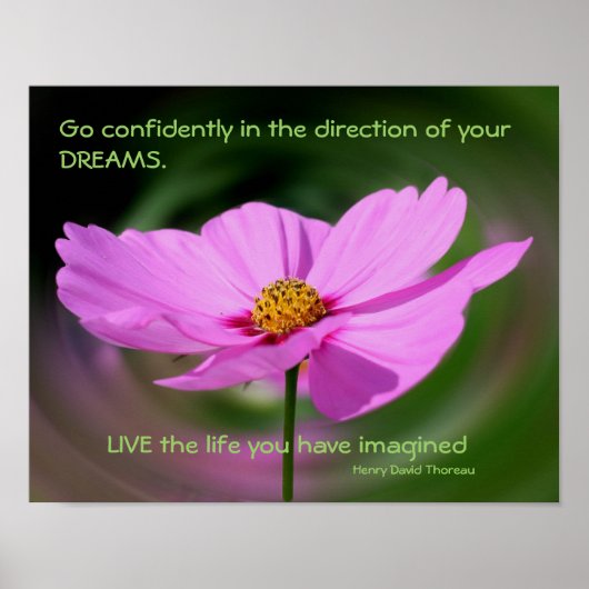 ドリームス引用文コスモス感動的フラワー ポスター (正面)