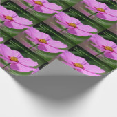 ドリームス引用文コスモス感動的フラワー ラッピングペーパー (角)