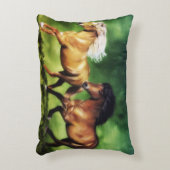 ドリームチーム アクセントクッション (正面(垂直))