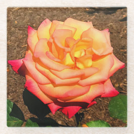 ドリームトゥル来バラ#3グラスコースター ガラスコースター