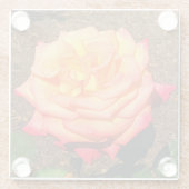 ドリームトゥル来バラ#3グラスコースター ガラスコースター (裏面)