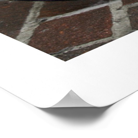 ドリームポスタイタリアンー ポスター (角)