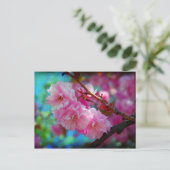 ドリームランドさくらんぼの花(韓国) ポストカード (スタンド正面)