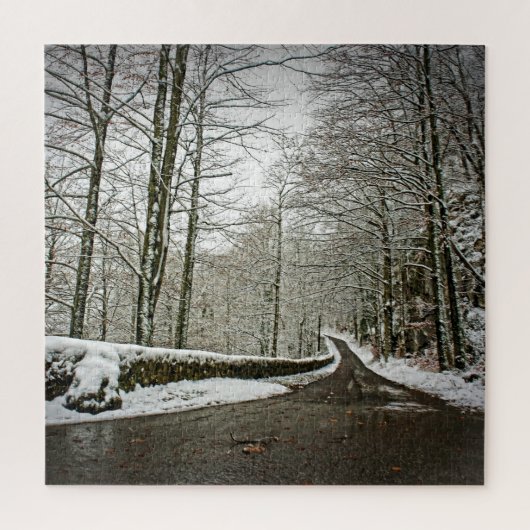 ドリームランドへの道 – ドイツの森–20x20-676個 ジグソーパズル (縦)