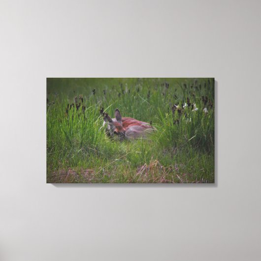 ドリームランド キャンバスプリント (正面)