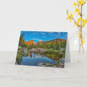 ドリームレイクランドスケープ カード (黄色い花)