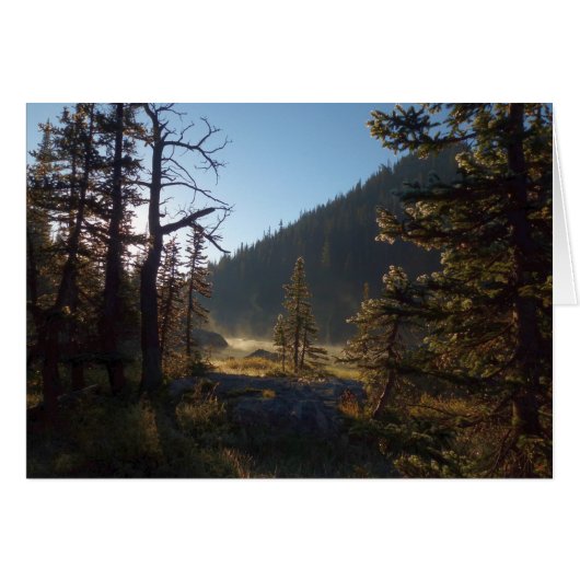 ドリーム湖で日に照らされた曇り松 (正面横)