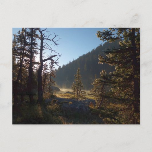 ドリーム湖で日に照らされた曇り松 ポストカード (正面)