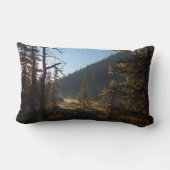 ドリーム湖で日に照らされた曇り松 ランバークッション (裏面)