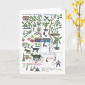 ドリーンの農園計画 カード (黄色い花)