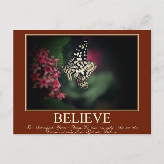 ドリー信じム ポストカード (正面)